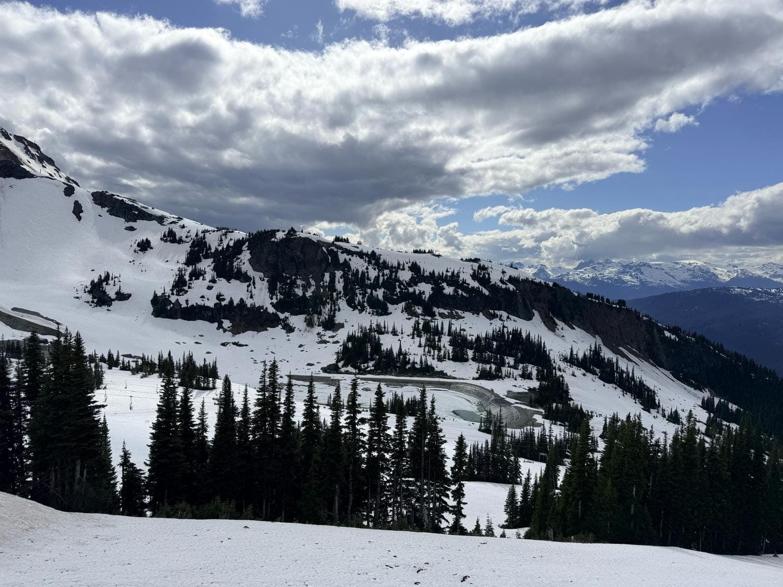 Alpine terrain near Mount Washington, in the Comox Valley